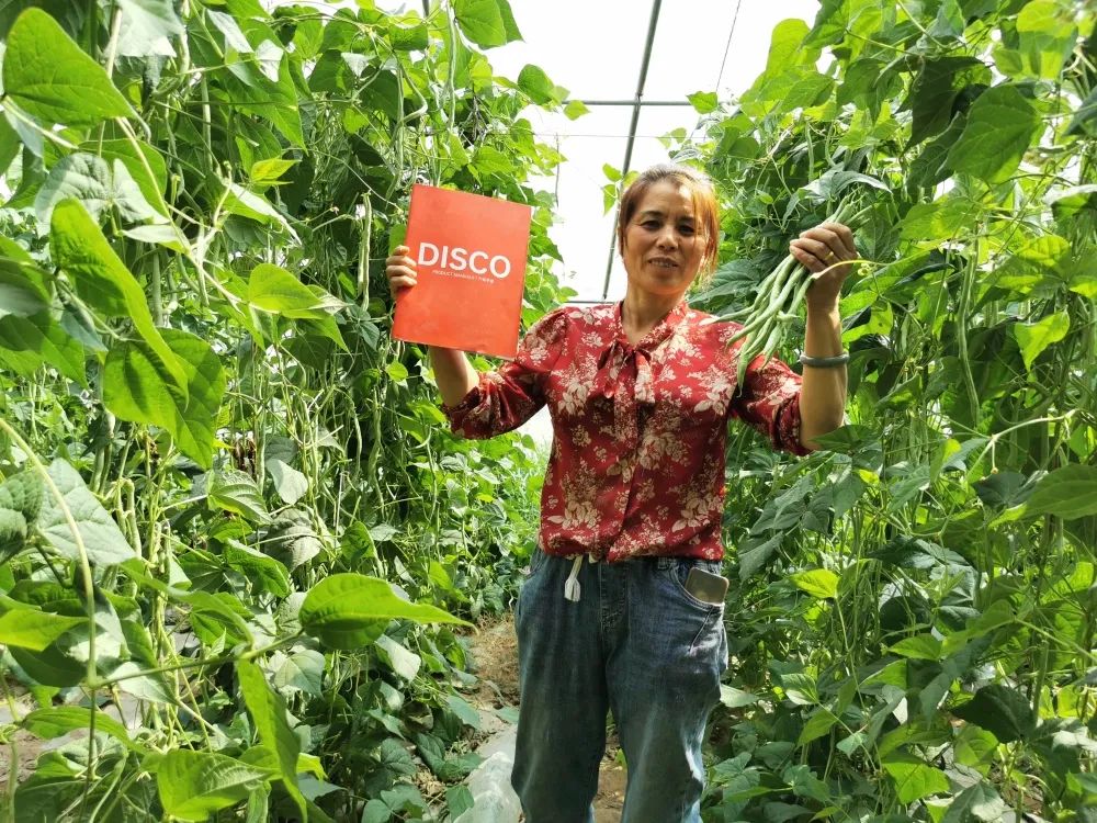 这个西北女人坐拥大棚70+，凭什么