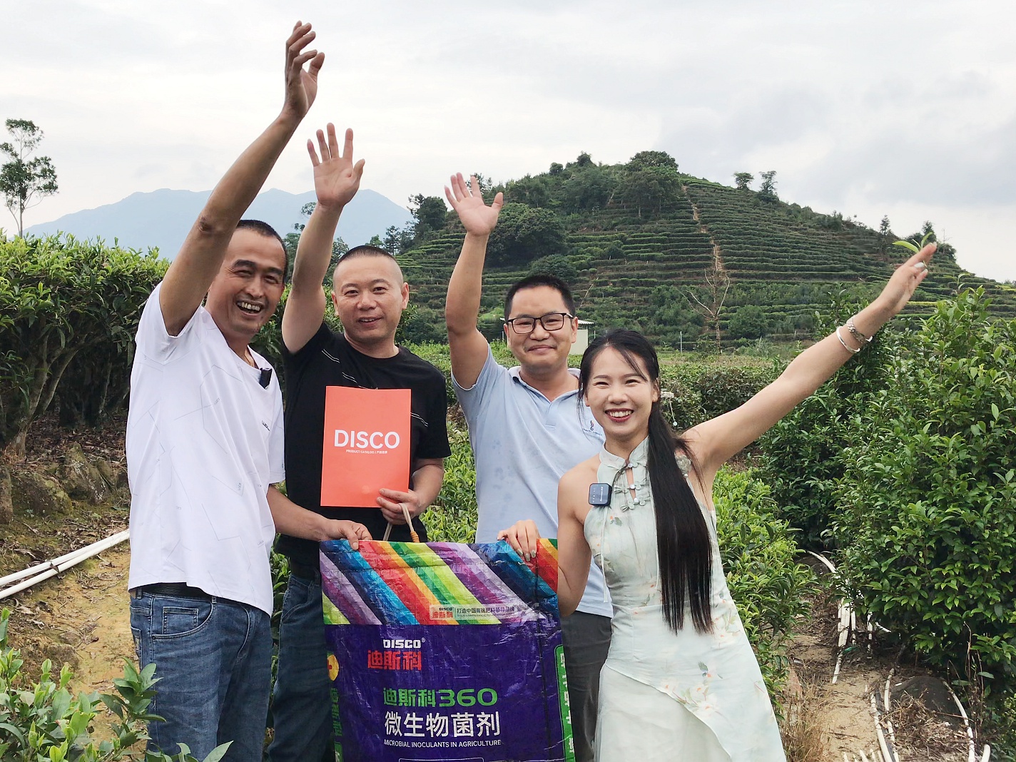 走进凤凰单丛核心产区，雅韵千年，沁香四海