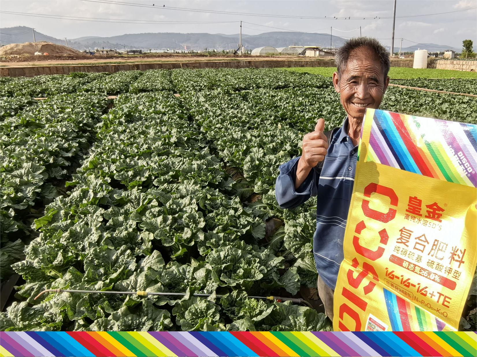 所到之处，处处圈粉！皇金为何如此受欢迎